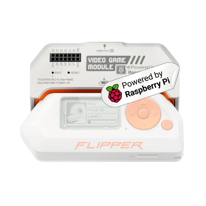 Video Game Module for Flipper Zero - digiwallets