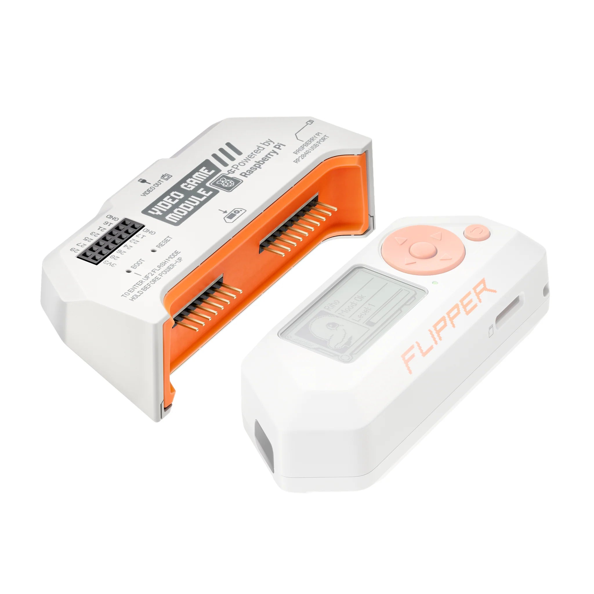 Video Game Module for Flipper Zero - digiwallets