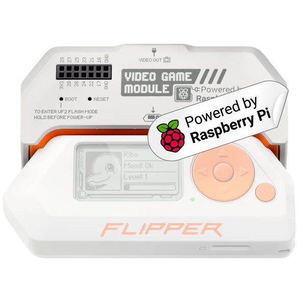 Video Game Module for Flipper Zero - digiwallets